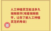 人工种植灵芝能活多久视频教学(观看视频教学，让你了解人工种植灵芝的寿命)
