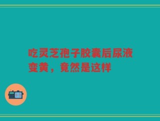 吃灵芝孢子胶囊后尿液变黄，竟然是这样