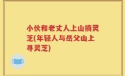 小伙和老丈人上山摘灵芝(年轻人与岳父山上寻灵芝)
