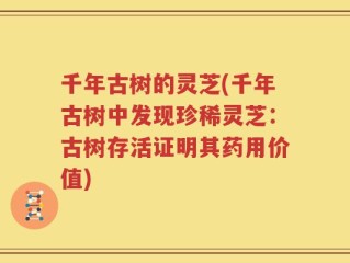 千年古树的灵芝(千年古树中发现珍稀灵芝：古树存活证明其药用价值)