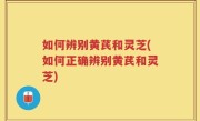 如何辨别黄芪和灵芝(如何正确辨别黄芪和灵芝)