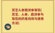 灵芝人参西洋参菊花(灵芝、人参、西洋参与菊花的药用功效与使用方法)