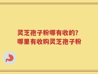 灵芝孢子粉哪有收的？哪里有收购灵芝孢子粉