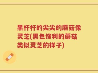 黑杆杆的尖尖的蘑菇像灵芝(黑色锋利的蘑菇类似灵芝的样子)