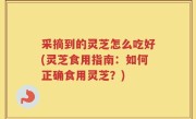 采摘到的灵芝怎么吃好(灵芝食用指南：如何正确食用灵芝？)