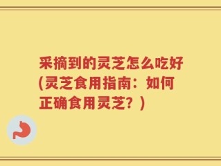 采摘到的灵芝怎么吃好(灵芝食用指南：如何正确食用灵芝？)