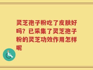 灵芝孢子粉吃了皮肤好吗？已采集了灵芝孢子粉的灵芝功效作用怎样呢