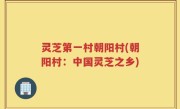 灵芝第一村朝阳村(朝阳村：中国灵芝之乡)
