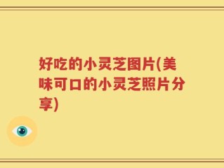 好吃的小灵芝图片(美味可口的小灵芝照片分享)