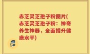 赤芝灵芝孢子粉图片(赤芝灵芝孢子粉：神奇养生神器，全面提升健康水平)