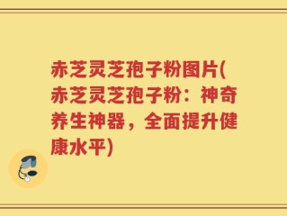 赤芝灵芝孢子粉图片(赤芝灵芝孢子粉：神奇养生神器，全面提升健康水平)