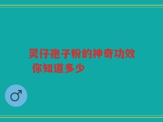 灵仔孢子粉的神奇功效 你知道多少