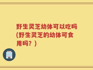 野生灵芝幼体可以吃吗(野生灵芝的幼体可食用吗？)
