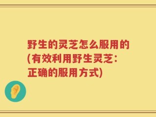 野生的灵芝怎么服用的(有效利用野生灵芝：正确的服用方式)