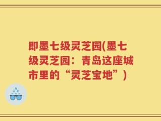 即墨七级灵芝园(墨七级灵芝园：青岛这座城市里的“灵芝宝地”)