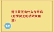 野生灵芝有什么作用吗(野生灵芝的功效及用途)