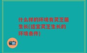 什么样的环境有灵芝菌生长(适宜灵芝生长的环境条件)