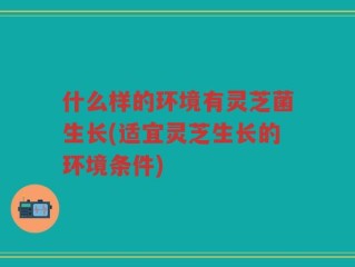 什么样的环境有灵芝菌生长(适宜灵芝生长的环境条件)