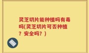 灵芝切片能种植吗有毒吗(灵芝切片可否种植？安全吗？)