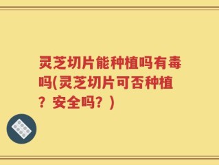 灵芝切片能种植吗有毒吗(灵芝切片可否种植？安全吗？)
