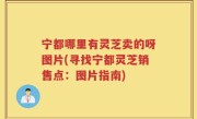 宁都哪里有灵芝卖的呀图片(寻找宁都灵芝销售点：图片指南)
