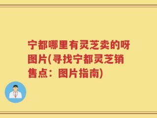 宁都哪里有灵芝卖的呀图片(寻找宁都灵芝销售点：图片指南)