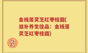 金线莲灵芝红枣桂圆(滋补养生佳品：金线莲灵芝红枣桂圆)