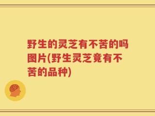 野生的灵芝有不苦的吗图片(野生灵芝竟有不苦的品种)