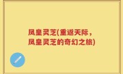 凤皇灵芝(重返天际，凤皇灵芝的奇幻之旅)