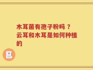 木耳菌有孢子粉吗 ？云耳和木耳是如何种植的