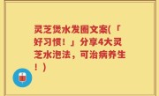 灵芝煲水发圈文案(「好习惯！」分享4大灵芝水泡法，可治病养生！)