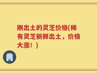 刚出土的灵芝价格(稀有灵芝新鲜出土，价格大涨！)
