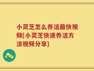 小灵芝怎么养活最快视频(小灵芝快速养活方法视频分享)