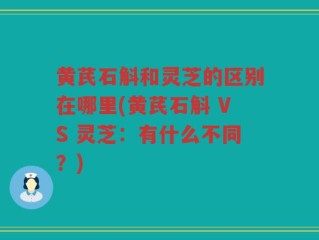 黄芪石斛和灵芝的区别在哪里(黄芪石斛 VS 灵芝：有什么不同？)