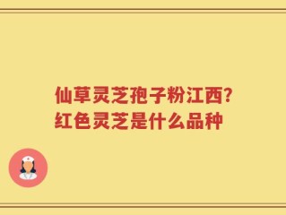 仙草灵芝孢子粉江西？红色灵芝是什么品种