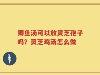 鲫鱼汤可以放灵芝孢子吗？灵芝鸡汤怎么做