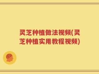 灵芝种植做法视频(灵芝种植实用教程视频)