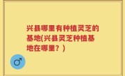 兴县哪里有种植灵芝的基地(兴县灵芝种植基地在哪里？)