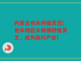 内蒙古包头种植灵芝(包头地区大规模种植灵芝，成为新兴产业)