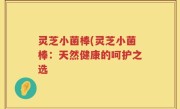 灵芝小菌棒(灵芝小菌棒：天然健康的呵护之选