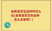 桑黄是灵芝品种吗怎么吃(桑黄是灵芝的品种，怎么食用呢？)