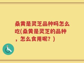 桑黄是灵芝品种吗怎么吃(桑黄是灵芝的品种，怎么食用呢？)