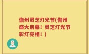 儋州灵芝灯光节(儋州盛大启幕！灵芝灯光节彩灯亮相！)