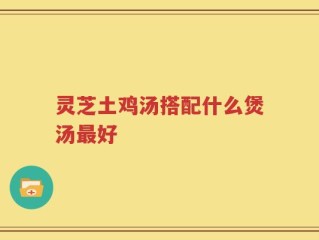 灵芝土鸡汤搭配什么煲汤最好