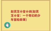 赵灵芝小宝小说(赵灵芝小宝：一个奇幻的少年冒险故事)