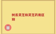 树舌灵芝和灵芝药用区别