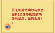 灵芝冬瓜煲功效与禁忌图片(灵芝冬瓜煲的功效与禁忌，如何食用？)