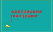 大黑灵芝值钱吗值钱吗(大黑灵芝有商机吗？)
