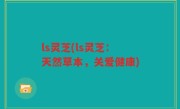 ls灵芝(ls灵芝：天然草本，关爱健康)