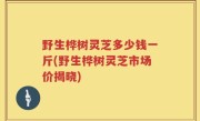 野生桦树灵芝多少钱一斤(野生桦树灵芝市场价揭晓)